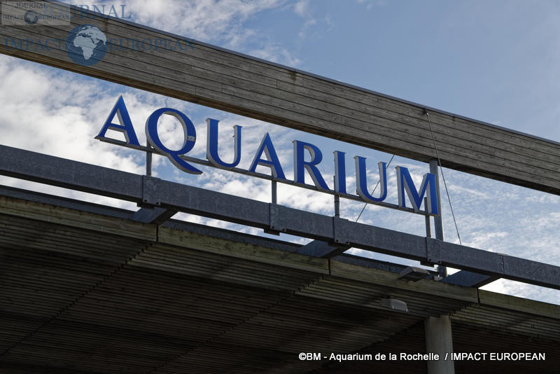 aquarium la rochelle 75