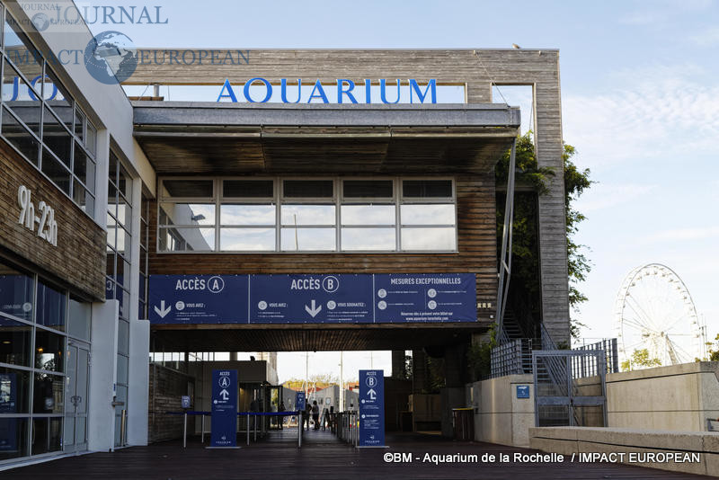 aquarium la rochelle 78