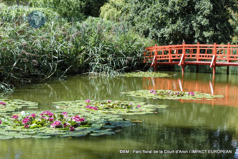 parc floral de la court d'aron 03