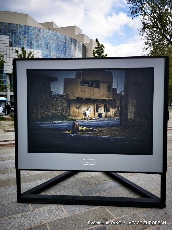 Bastille « Le cri du silence » d’Antoine Agoudjian 11