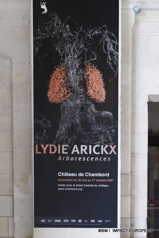 Lydie Arickx 47