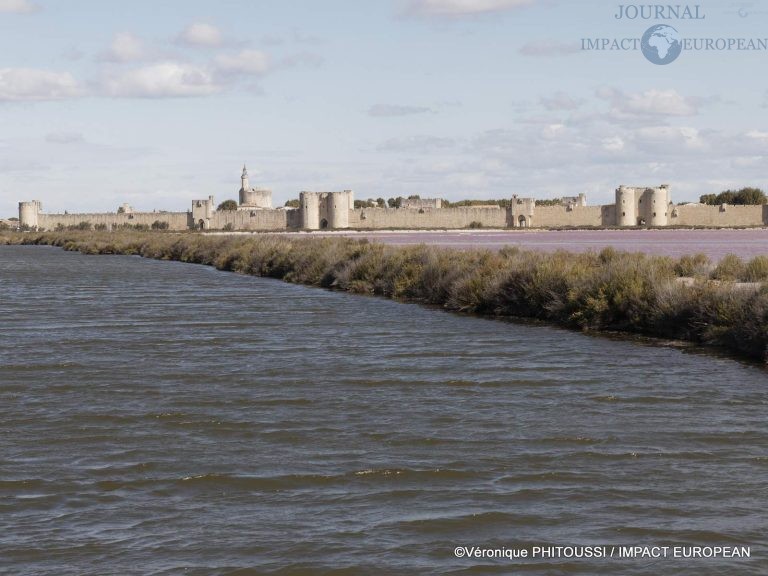 Les Salins de Camargue 1