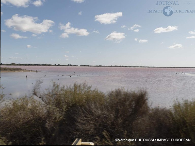 Les Salins de Camargue 10