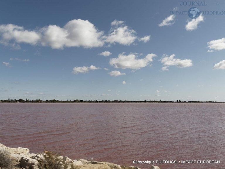 Les Salins de Camargue 11