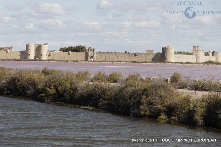 Les Salins de Camargue 12