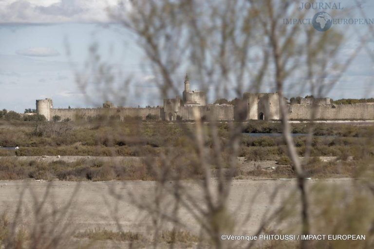 Les Salins de Camargue 14