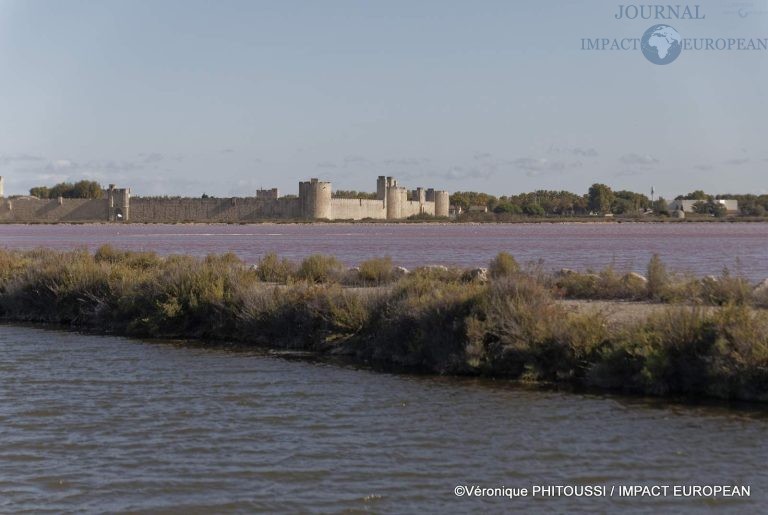 Les Salins de Camargue 17