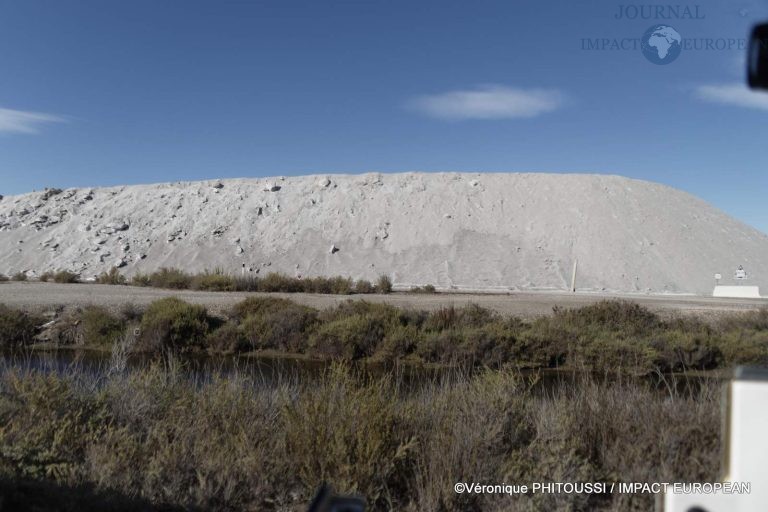 Les Salins de Camargue 22