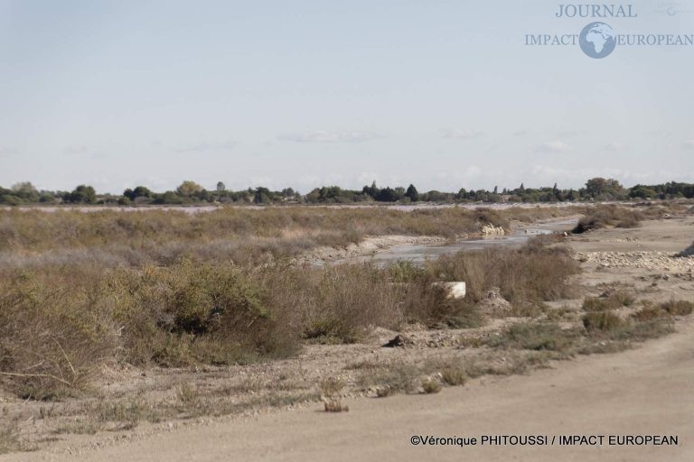 Les Salins de Camargue 23