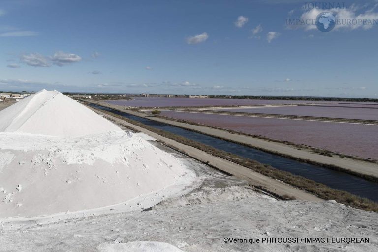 Les Salins de Camargue 29