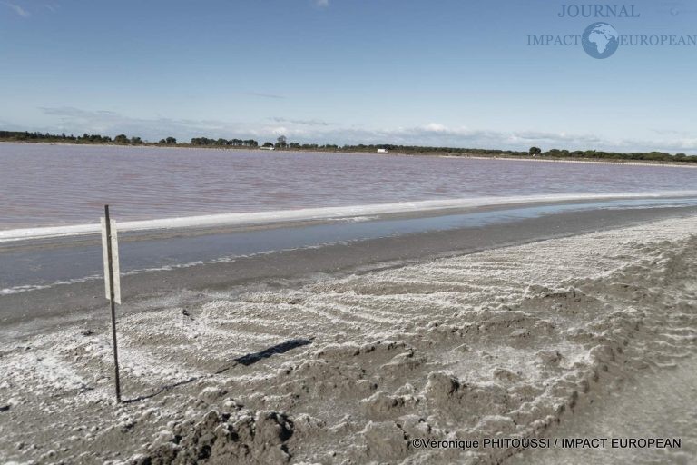 Les Salins de Camargue 35