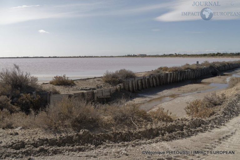 Les Salins de Camargue 36