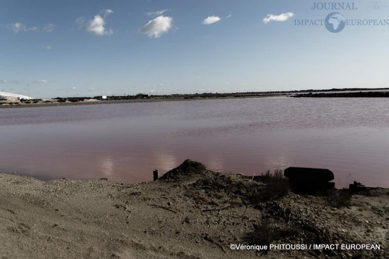 Les Salins de Camargue 38