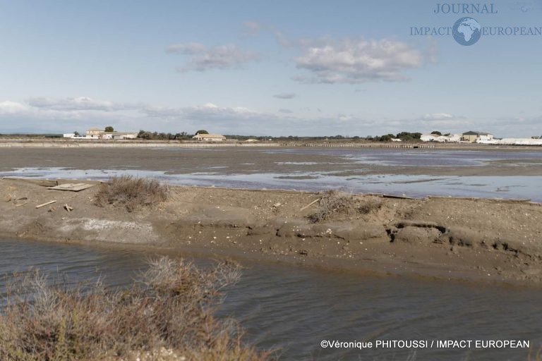 Les Salins de Camargue 39