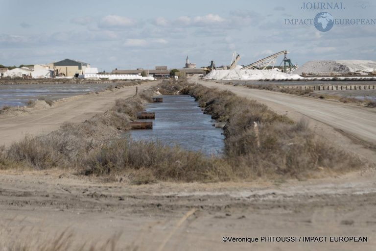 Les Salins de Camargue 40