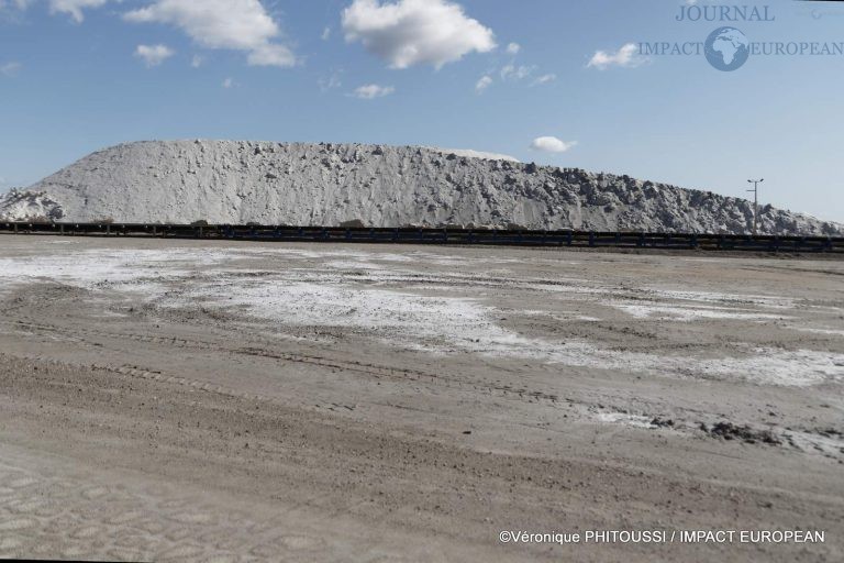 Les Salins de Camargue 5