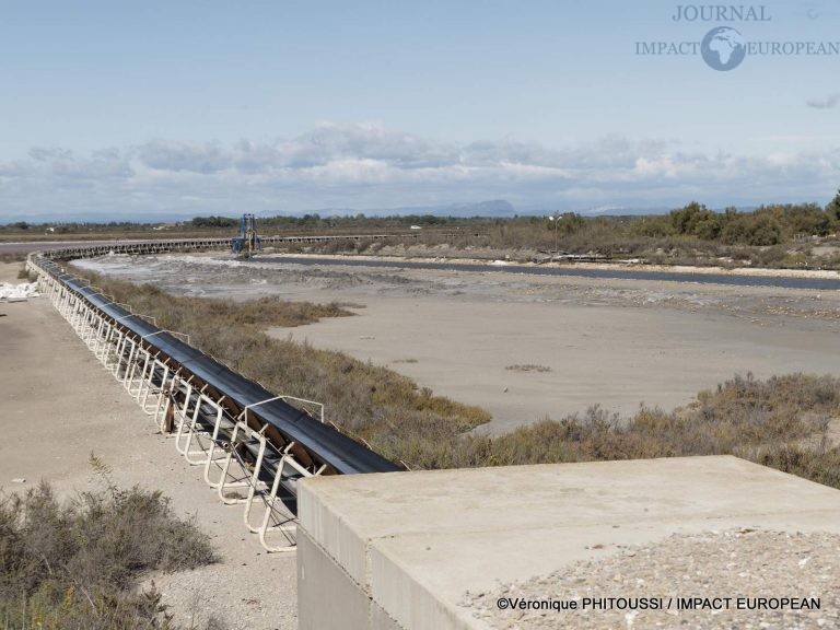 Les Salins de Camargue 6