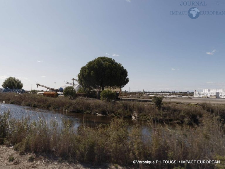 Les Salins de Camargue 7