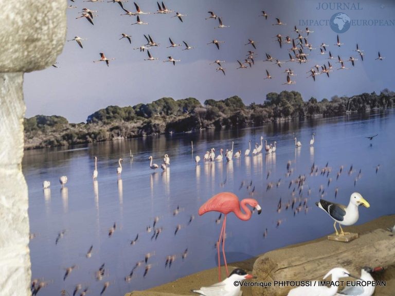 Les Salins de Camargue 7