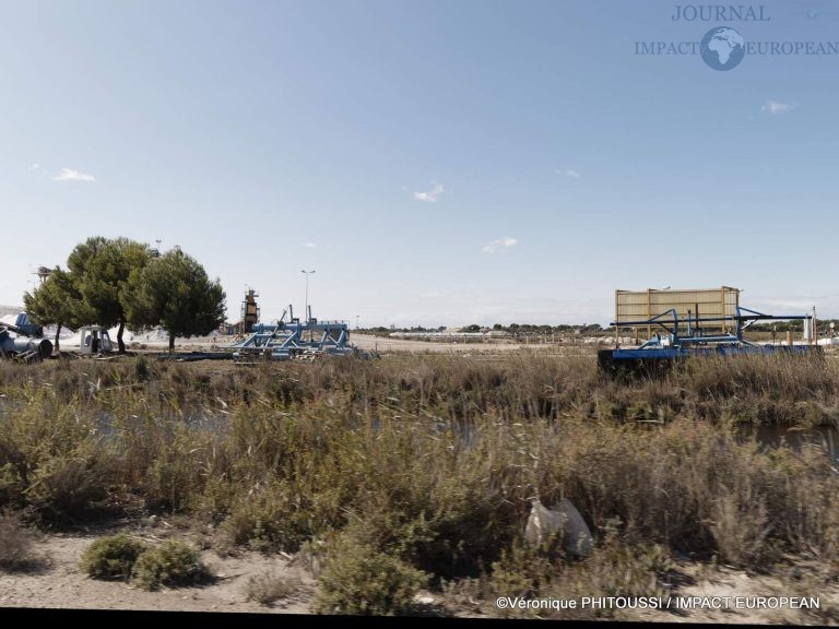 Les Salins de Camargue 8