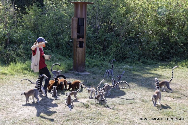 Parc animalier de Lumigny Nesles 010