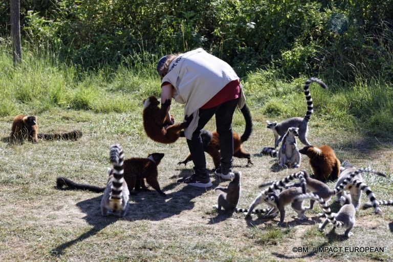 Parc animalier de Lumigny Nesles 011