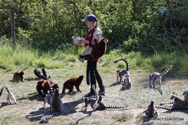 Parc animalier de Lumigny Nesles 012