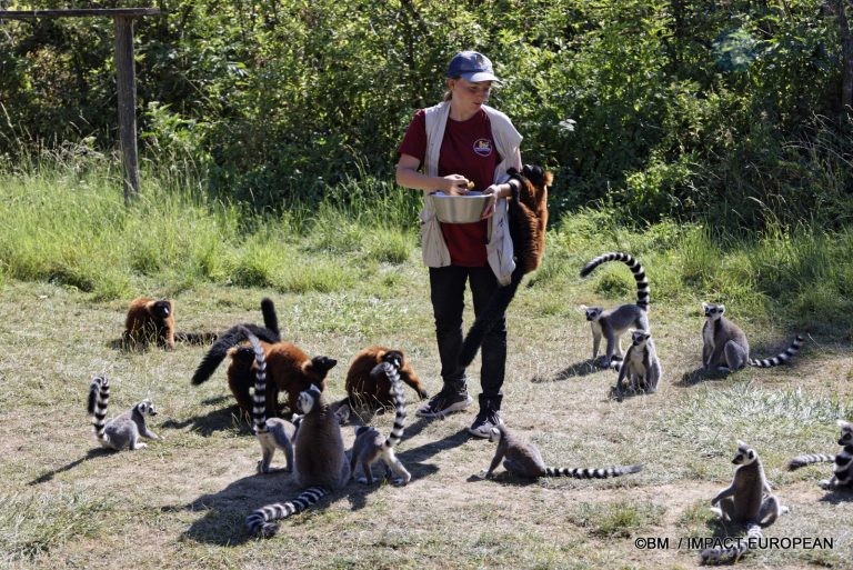 Parc animalier de Lumigny Nesles 013