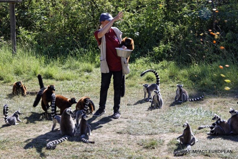 Parc animalier de Lumigny Nesles 014