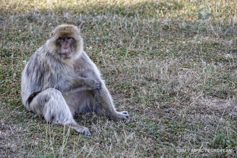 Parc animalier de Lumigny Nesles 026