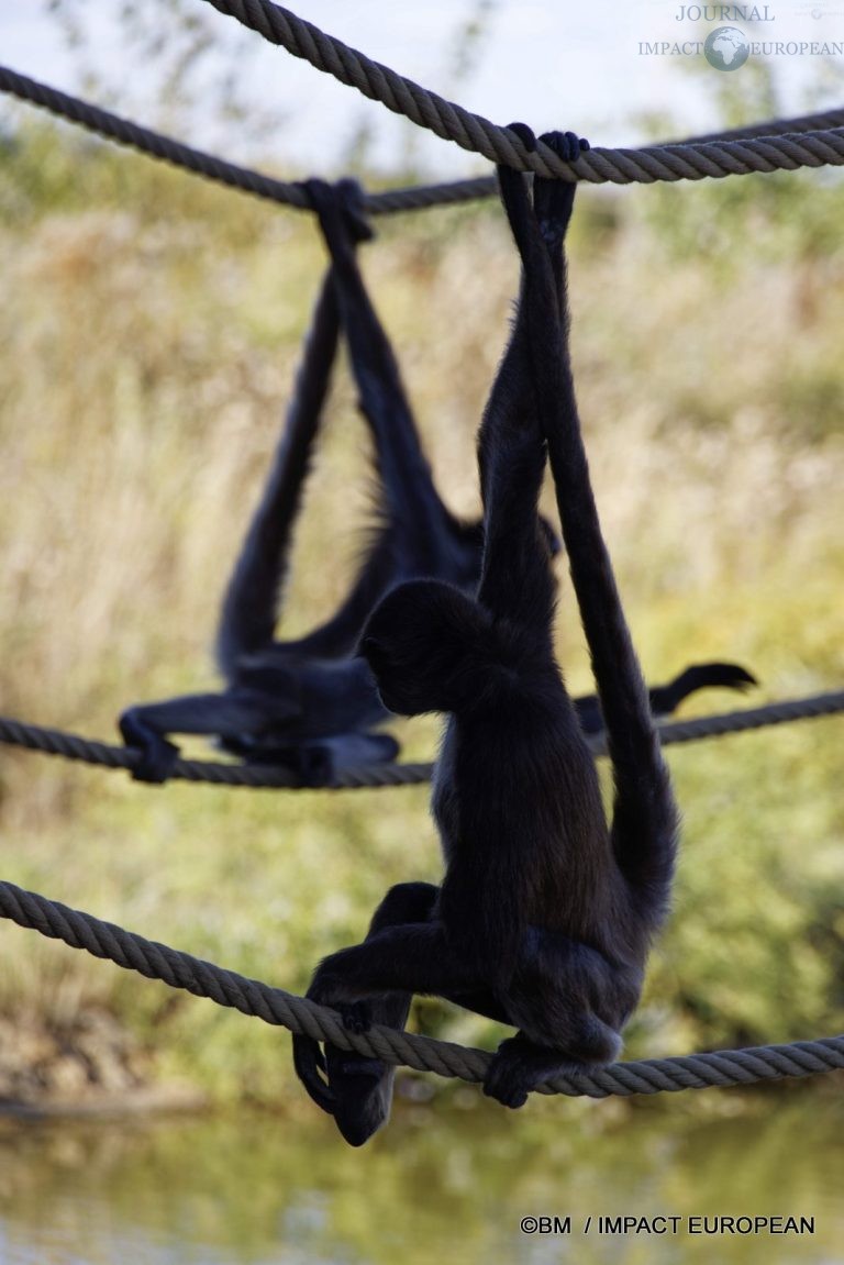 Parc animalier de Lumigny Nesles 030