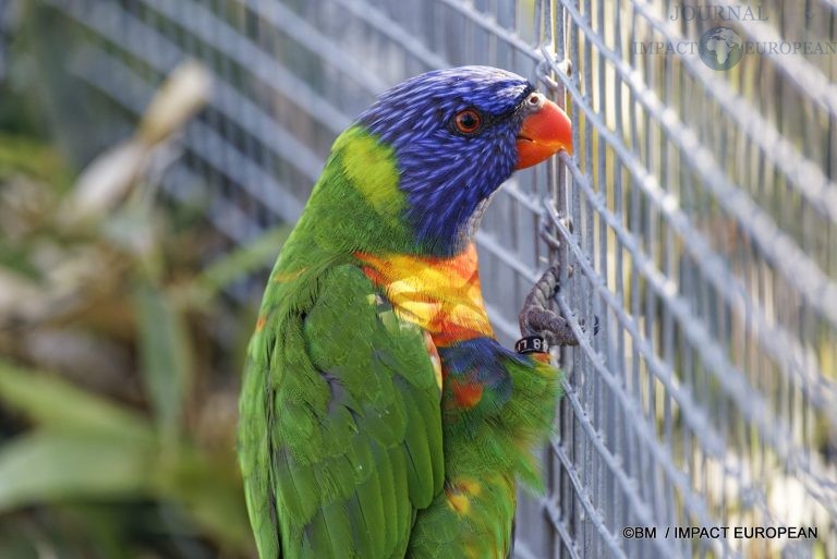 Parc animalier de Lumigny Nesles 032