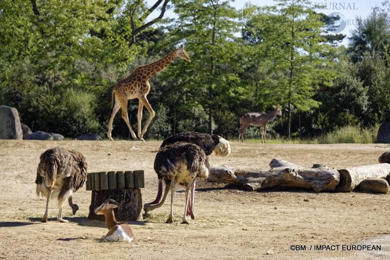 Parc zoologique de Paris 017