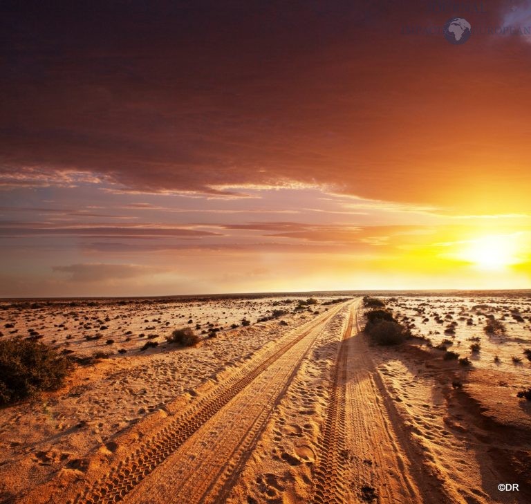 road in Sahara desert