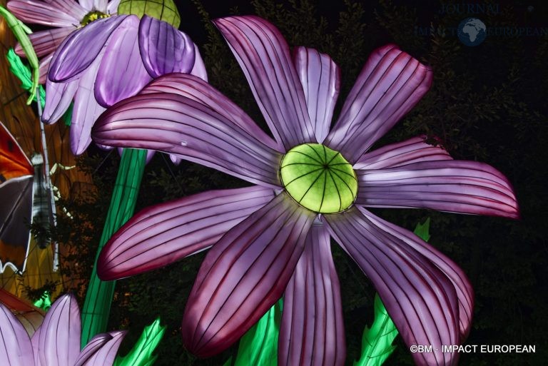 Mini-monde en voie d'illumination 03