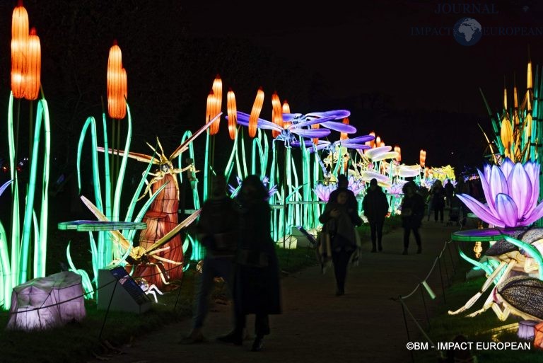 Mini-monde en voie d'illumination 28