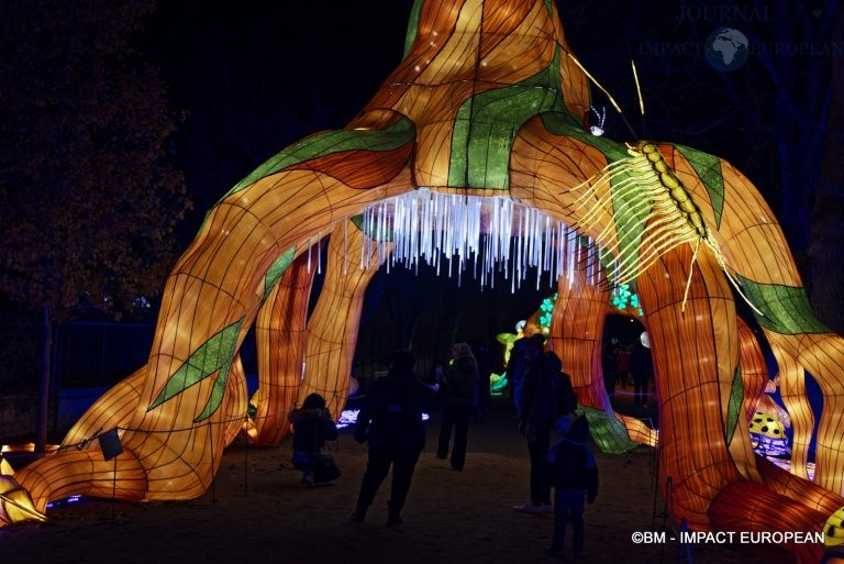 Mini-monde en voie d'illumination 44