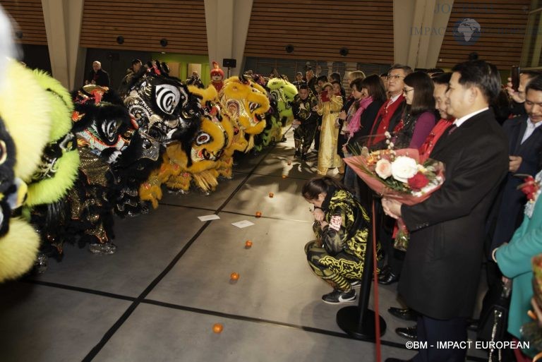 nouvel an chinois 37