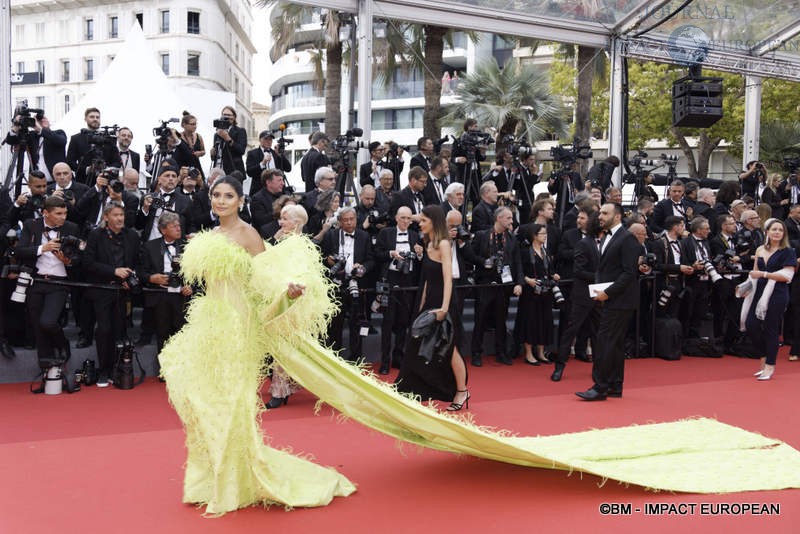 Festival de Cannes 29