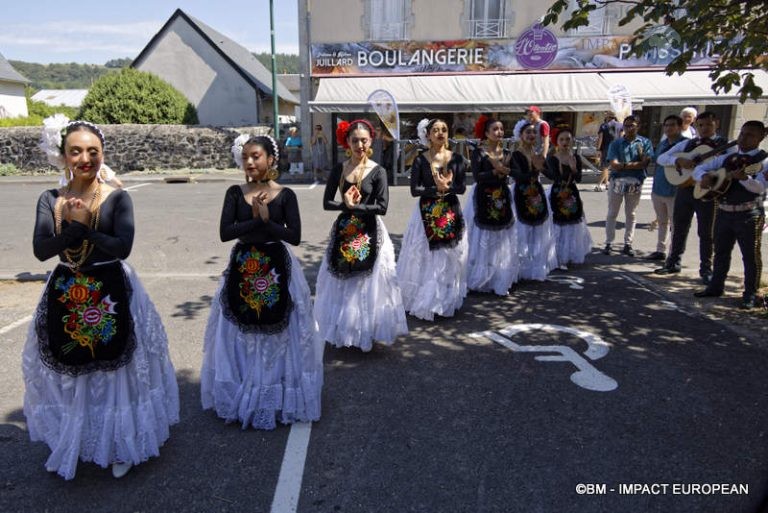 AOP Bleu d'Auvergne 16