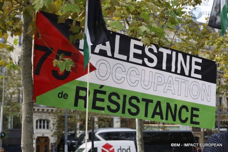 Manifestation pro-Palestinienne 01