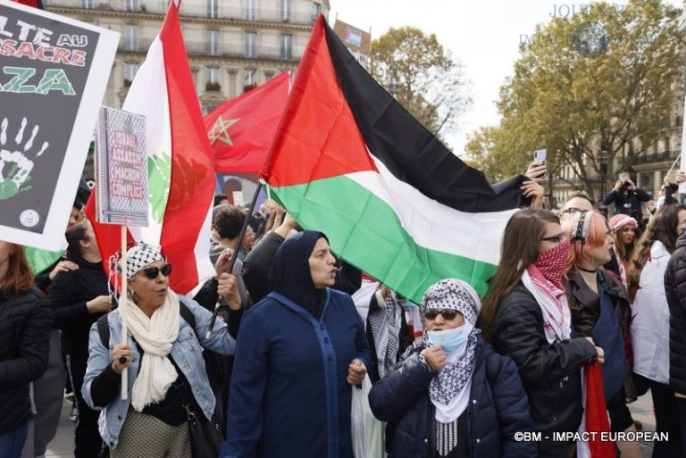 Manifestation pro-Palestinienne 05