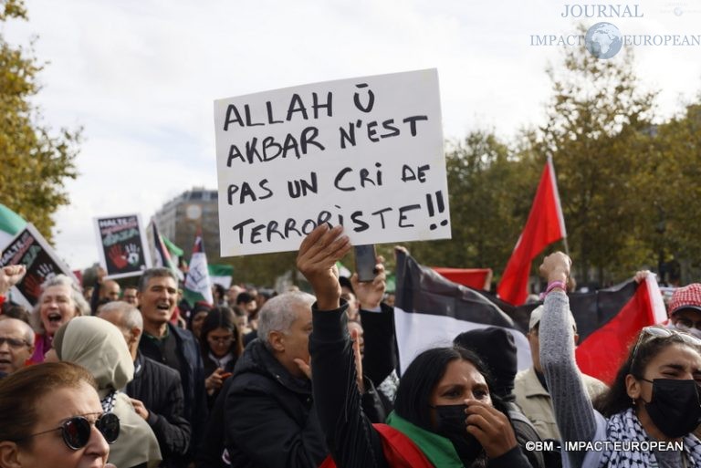 Manifestation pro-Palestinienne 10