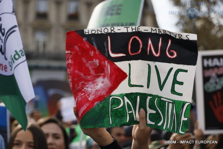 Manifestation pro-Palestinienne 11