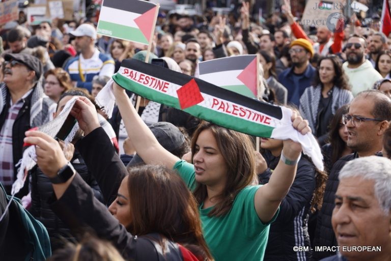 Manifestation pro-Palestinienne 15