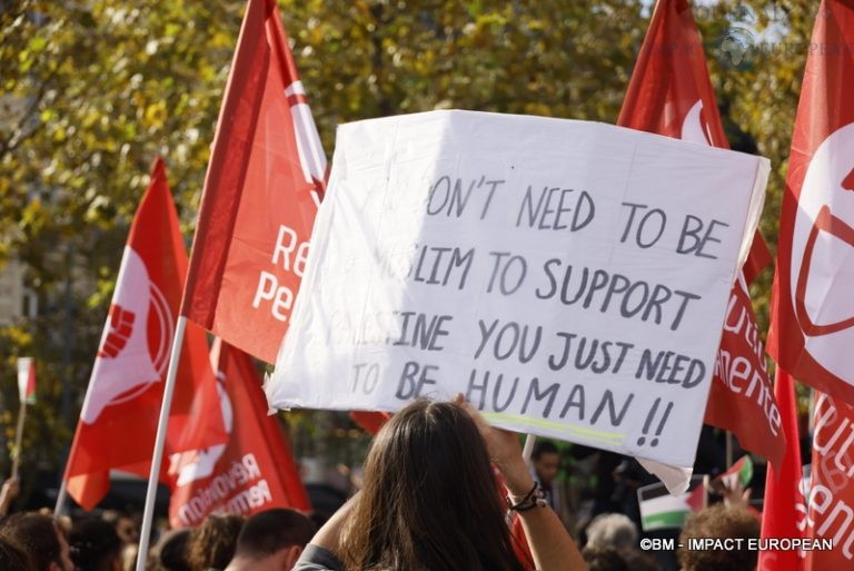 Manifestation pro-Palestinienne 16