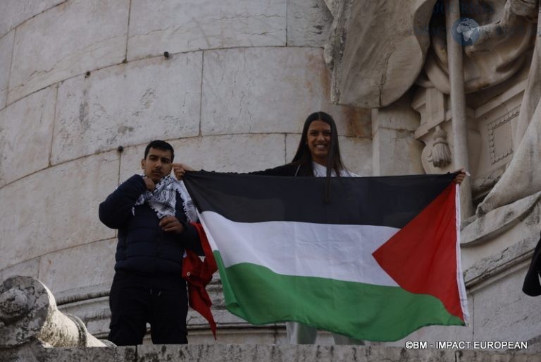 Manifestation pro-Palestinienne 20