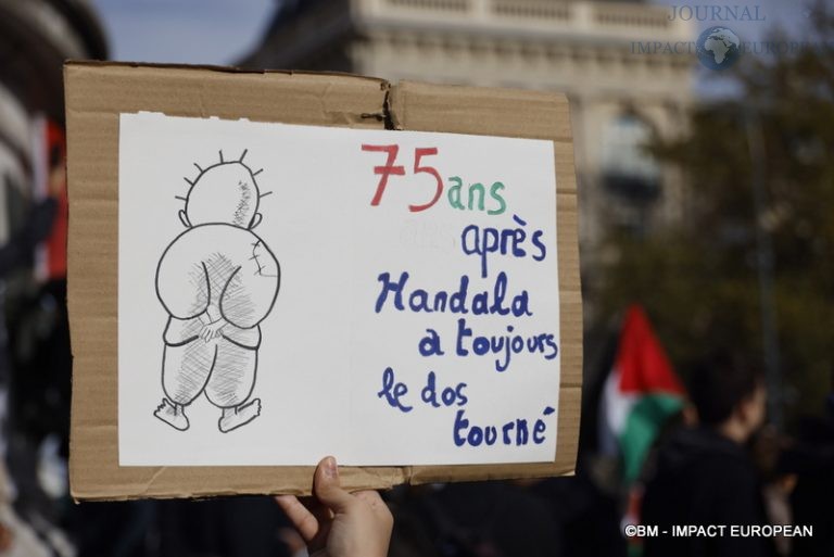 Manifestation pro-Palestinienne 22