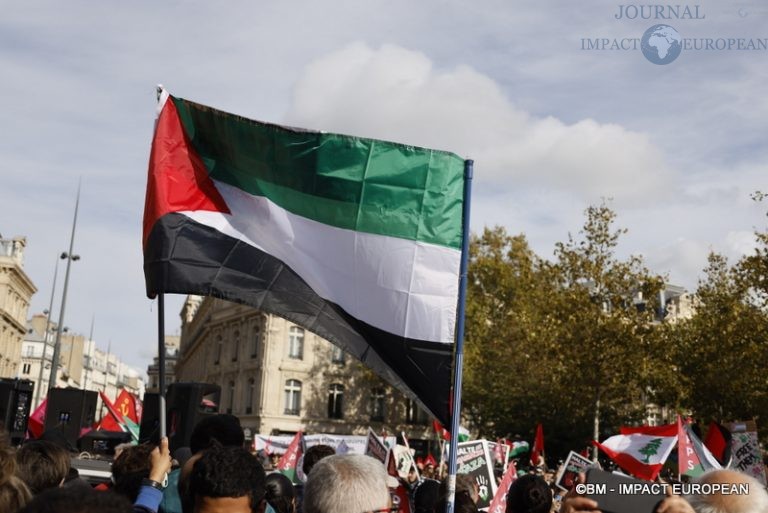 Manifestation pro-Palestinienne 23