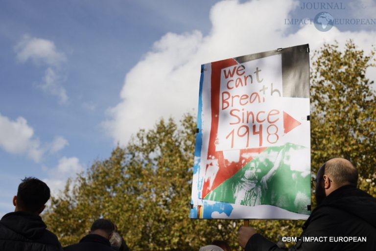 Manifestation pro-Palestinienne 24